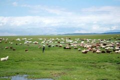 ���C���𴨴���������ʳ�Ļ�������̖