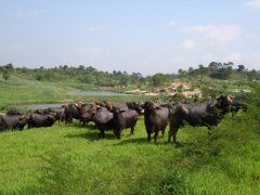 �V���V���|(zh��)�}���K�C(j��)���������I(y��)��(w��n)���l(f��)չ�е��¸�֮·