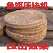 㑝əC(j��)е�~(y��)�D���K�C(j��)-�����m���������e�ʘ�(l��)�ĺ�����