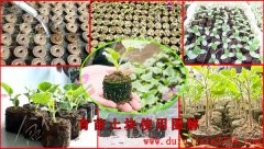 ����K��ʲô���������ʹ�ã�